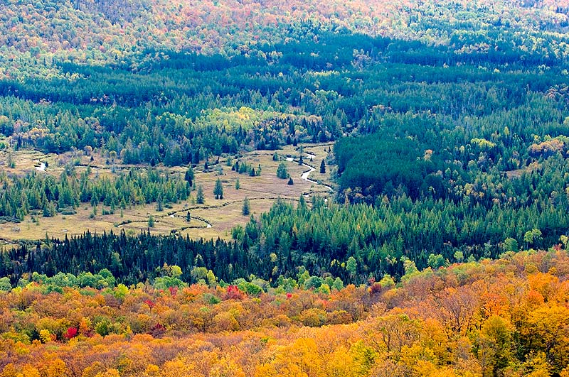_HAC1204.jpg - View from Mt Van Hoevenberg, Adirondack Park, NY