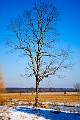 12-18 Shawangunk Grasslands